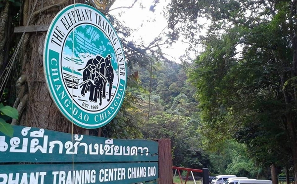 7 Attractions on Highway 107 by ECOCAR Car Rental Chiang Mai Chiang Dao Elephant Training Center