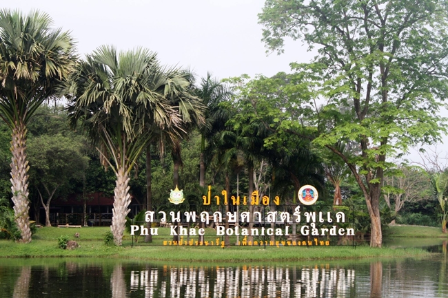 Car Rental Thailand Saraburi Phu Khae Botanical Garden