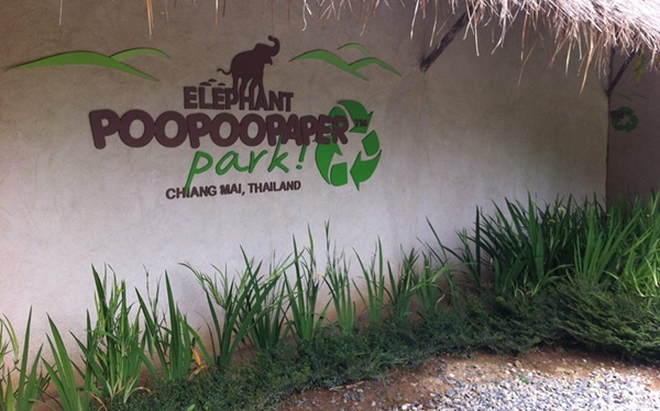7 Attractions on Highway 107 by ECOCAR Car Rental Chiang Mai Elephant Poopoo Paper Park